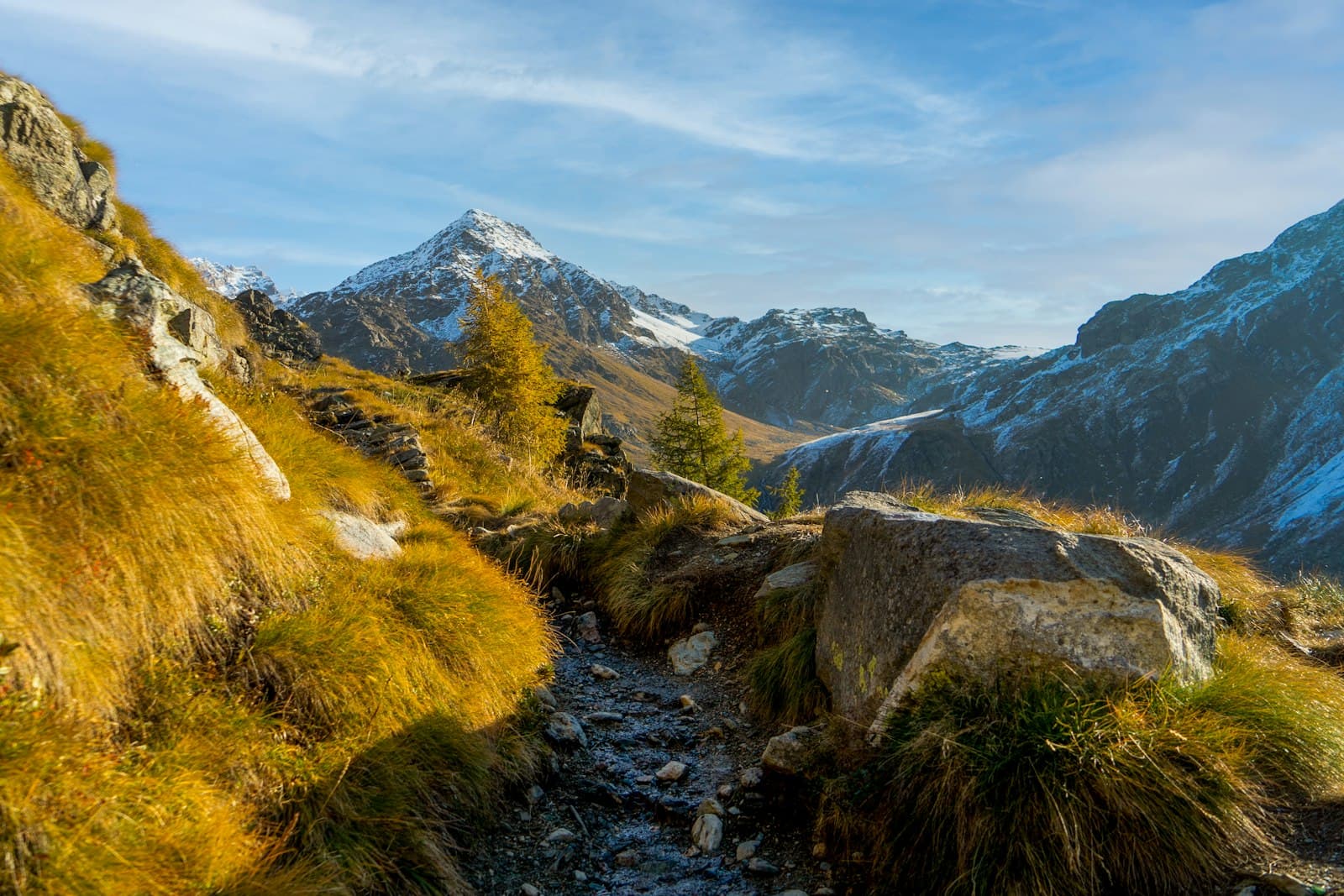 Hiking trail through mountain forest